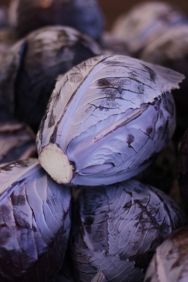 red cabbage, blue cabbage, cabbage, vegetables, food, healthy, meal, agriculture, violet, raw food, vitamins, blue, nourishment, crop, vegetable growing, winter vegetables, yummy, vegetarian, fresh, red cabbage, red cabbage, red cabbage, red cabbage, red cabbage, cabbage, cabbage, cabbage, cabbage, vegetables