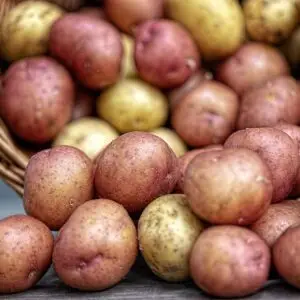 potatoes, vegetables, nature, fresh, produce, food, potatoes, potatoes, potatoes, potatoes, potatoes