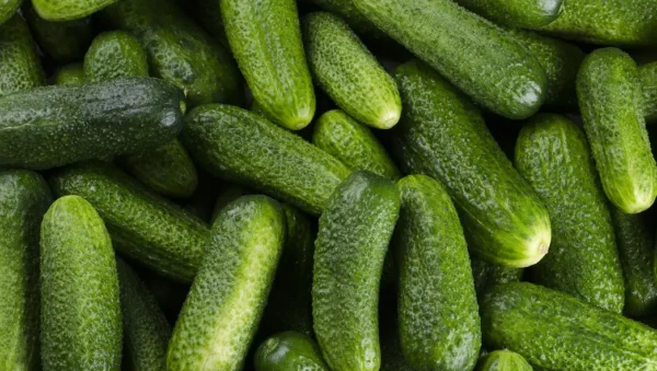 vegetables, cucumber, organic, raw, food, green, cucumber, cucumber, cucumber, cucumber, cucumber